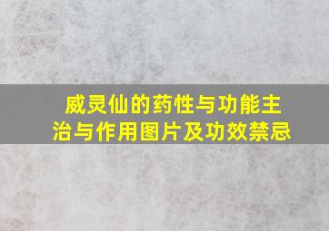 威灵仙的药性与功能主治与作用图片及功效禁忌