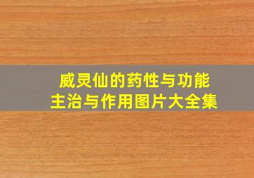 威灵仙的药性与功能主治与作用图片大全集