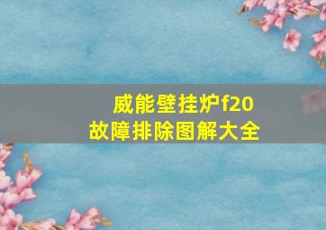 威能壁挂炉f20故障排除图解大全