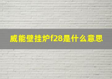 威能壁挂炉f28是什么意思