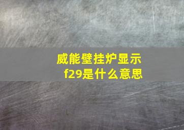 威能壁挂炉显示f29是什么意思