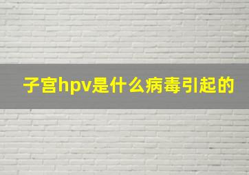 子宫hpv是什么病毒引起的