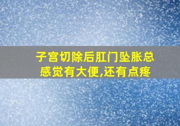 子宫切除后肛门坠胀总感觉有大便,还有点疼