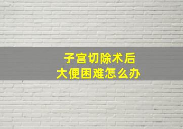 子宫切除术后大便困难怎么办