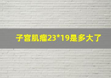 子宫肌瘤23*19是多大了