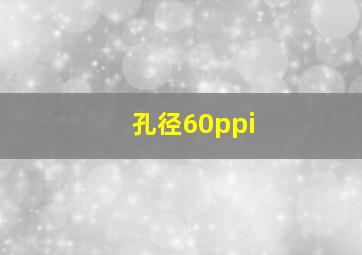 孔径60ppi