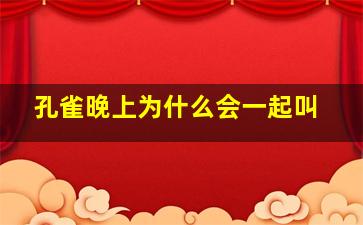 孔雀晚上为什么会一起叫