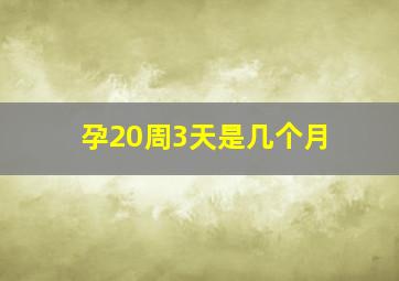 孕20周3天是几个月