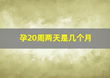 孕20周两天是几个月