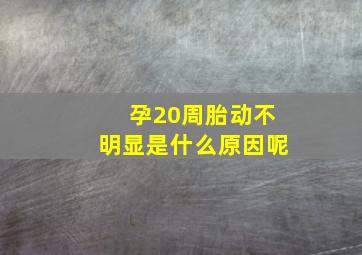 孕20周胎动不明显是什么原因呢