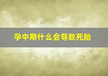 孕中期什么会导致死胎