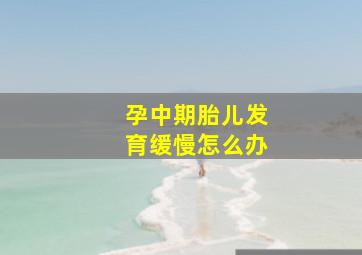 孕中期胎儿发育缓慢怎么办