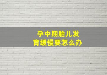 孕中期胎儿发育缓慢要怎么办