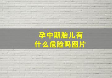 孕中期胎儿有什么危险吗图片