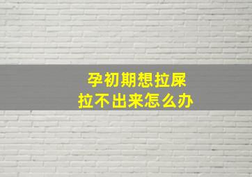 孕初期想拉屎拉不出来怎么办