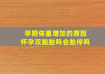 孕期体重增加的原因怀孕双胞胎吗会胎停吗