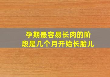 孕期最容易长肉的阶段是几个月开始长胎儿