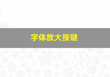 字体放大按键