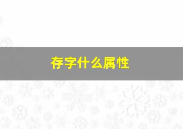 存字什么属性