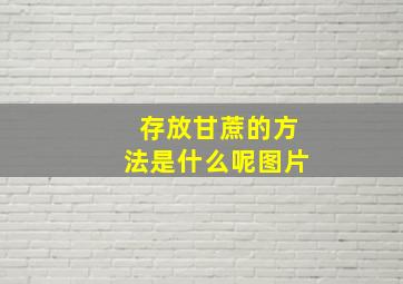 存放甘蔗的方法是什么呢图片