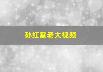 孙红雷老大视频