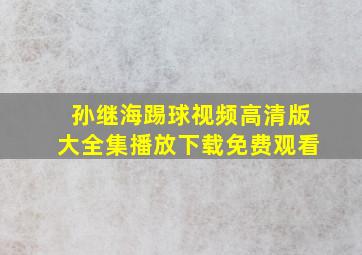 孙继海踢球视频高清版大全集播放下载免费观看