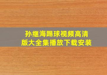 孙继海踢球视频高清版大全集播放下载安装