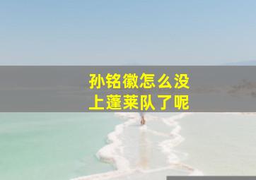 孙铭徽怎么没上蓬莱队了呢