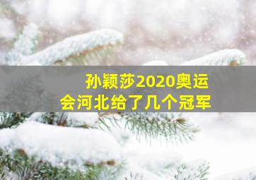 孙颖莎2020奥运会河北给了几个冠军