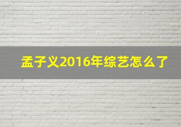 孟子义2016年综艺怎么了