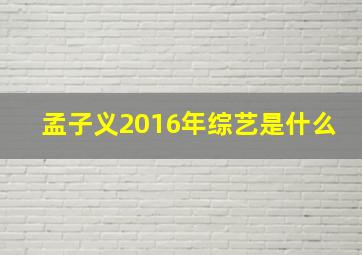 孟子义2016年综艺是什么