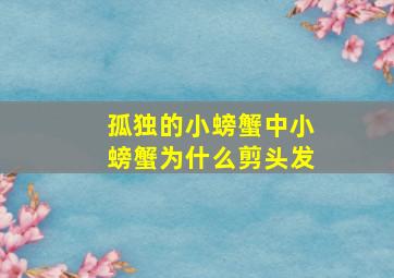 孤独的小螃蟹中小螃蟹为什么剪头发