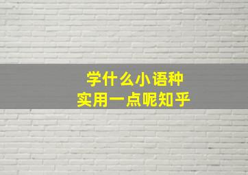 学什么小语种实用一点呢知乎