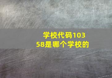 学校代码10358是哪个学校的