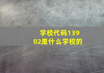 学校代码13902是什么学校的