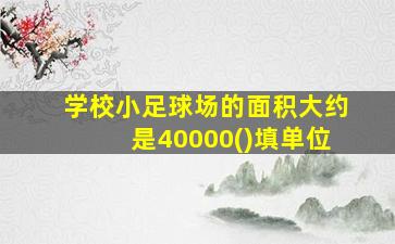 学校小足球场的面积大约是40000()填单位