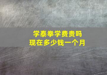 学泰拳学费贵吗现在多少钱一个月