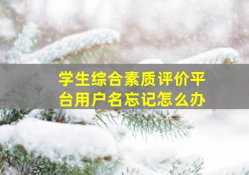 学生综合素质评价平台用户名忘记怎么办