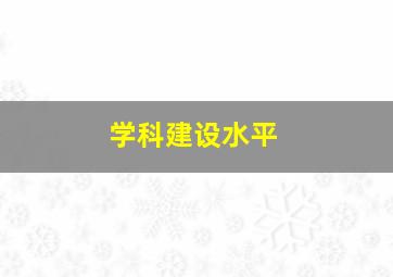 学科建设水平