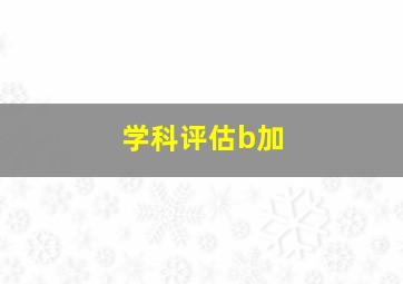 学科评估b加