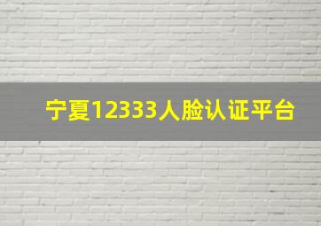 宁夏12333人脸认证平台