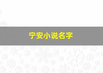 宁安小说名字