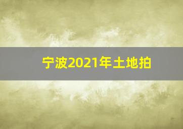 宁波2021年土地拍