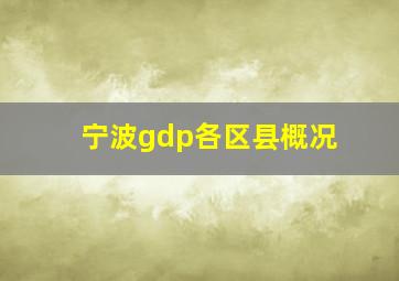 宁波gdp各区县概况