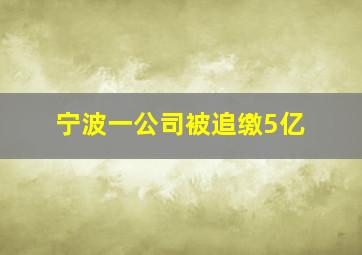 宁波一公司被追缴5亿