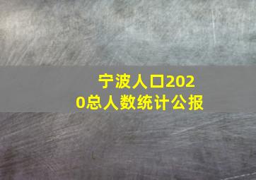 宁波人口2020总人数统计公报