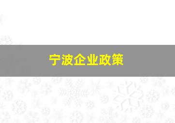 宁波企业政策