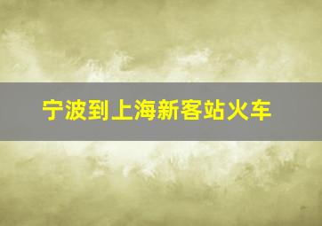 宁波到上海新客站火车