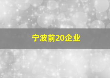 宁波前20企业