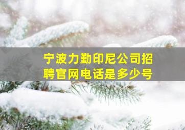 宁波力勤印尼公司招聘官网电话是多少号